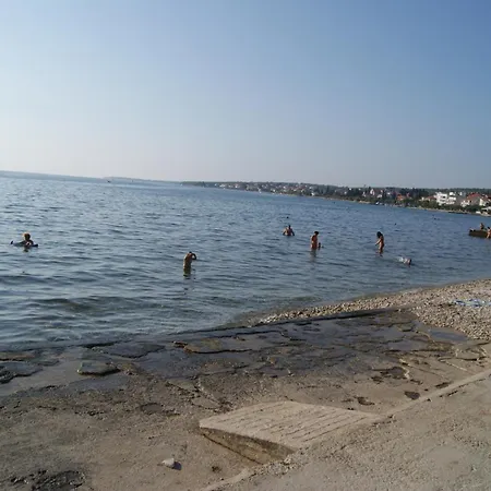 Marta - - Near The Sea *